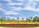 VinHomes Grand Park - Tiến độ thi công Phân Khu 1 The RainBow sau 9 tháng mở bán 07/2019 - 04/2020